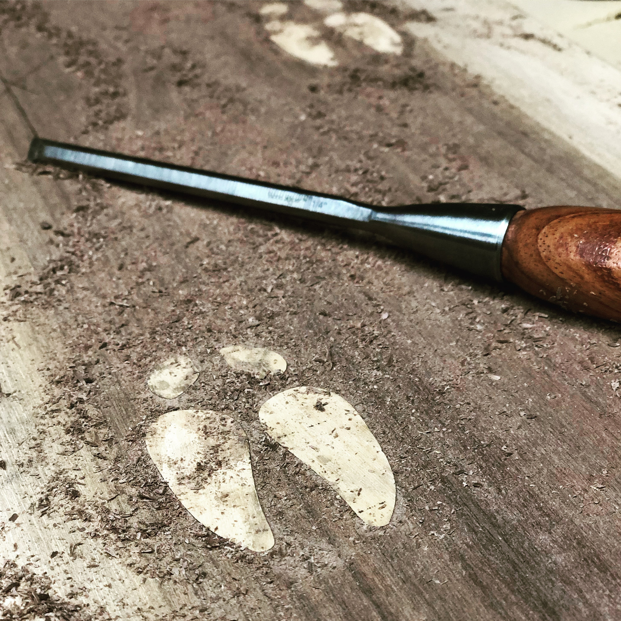 chisel and wood walnut shavings with a deer track inly